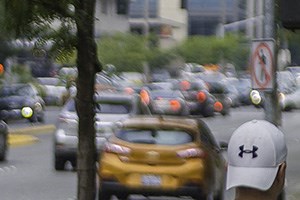 Man walking his dog because Lux Apartments Bellevue WA are pet friendly  Man walking his dog because Lux Apartments Bellevue WA are pet friendly